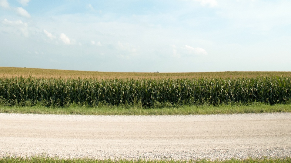 Look beyond most recent results when reviewing corn and soybean options for 2024