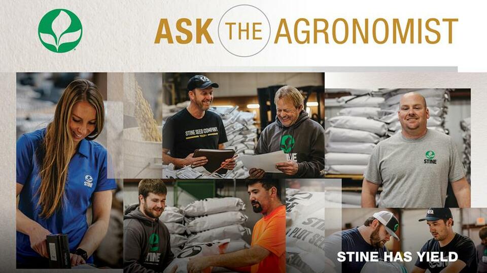 Beyond seed: Stine’s agronomy team offers expertise
