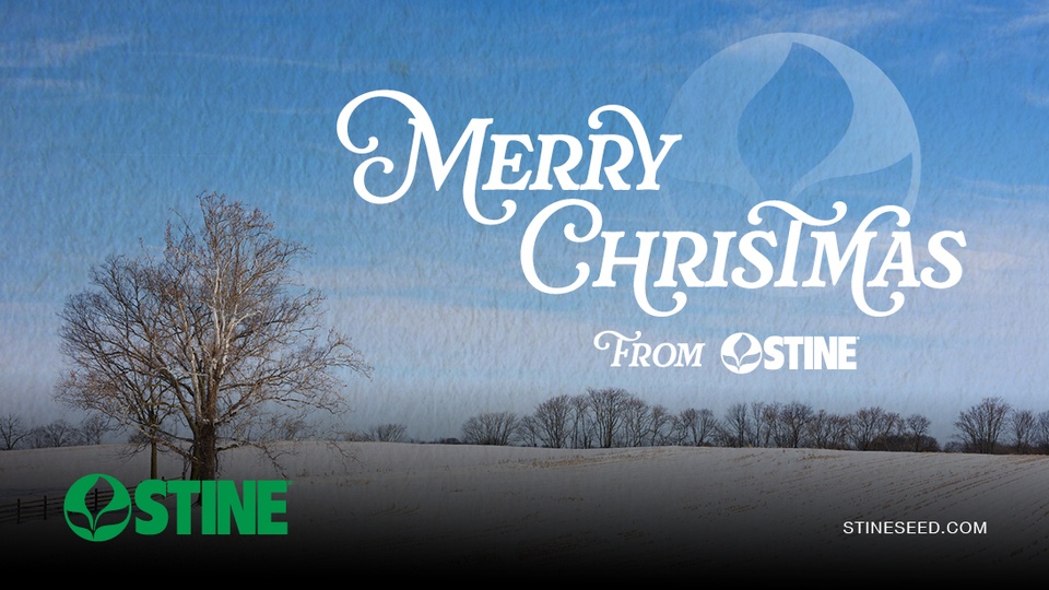 Celebrating the Season