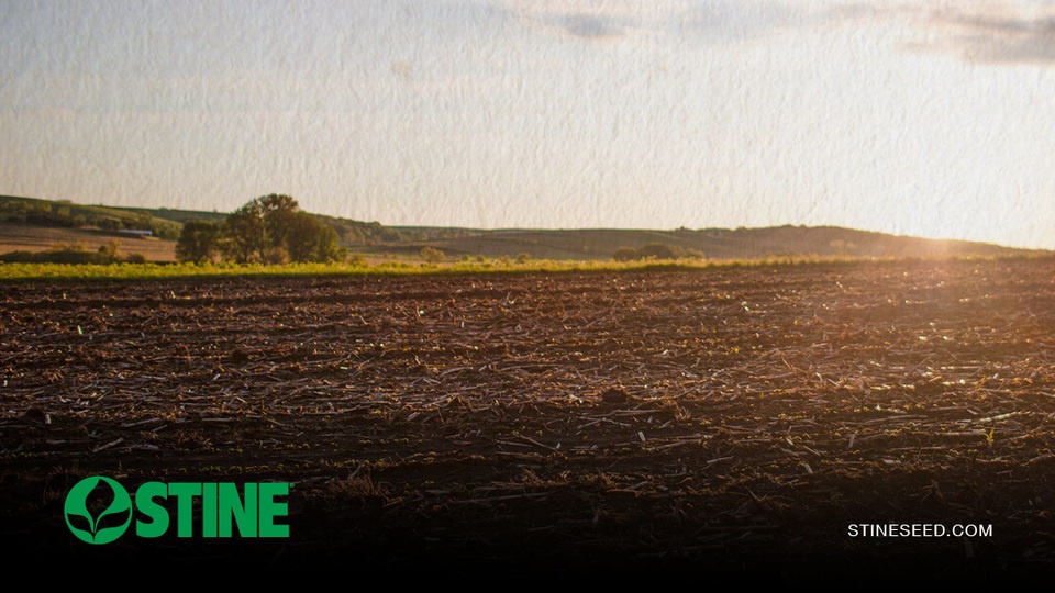 Looking ahead to spring fertility