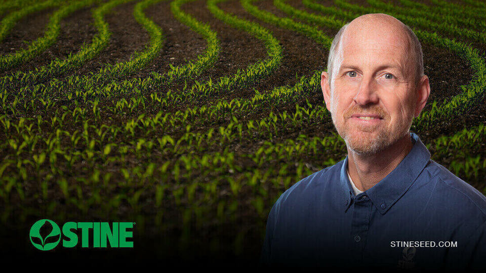 Staying ahead with early-season crop scouting and weed management