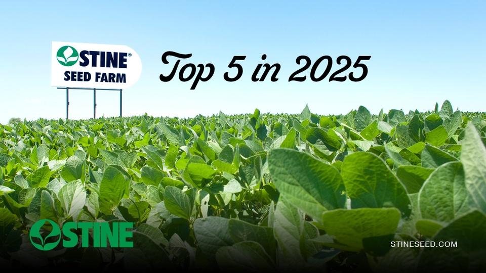 Top 5 Stine® stories from 2025