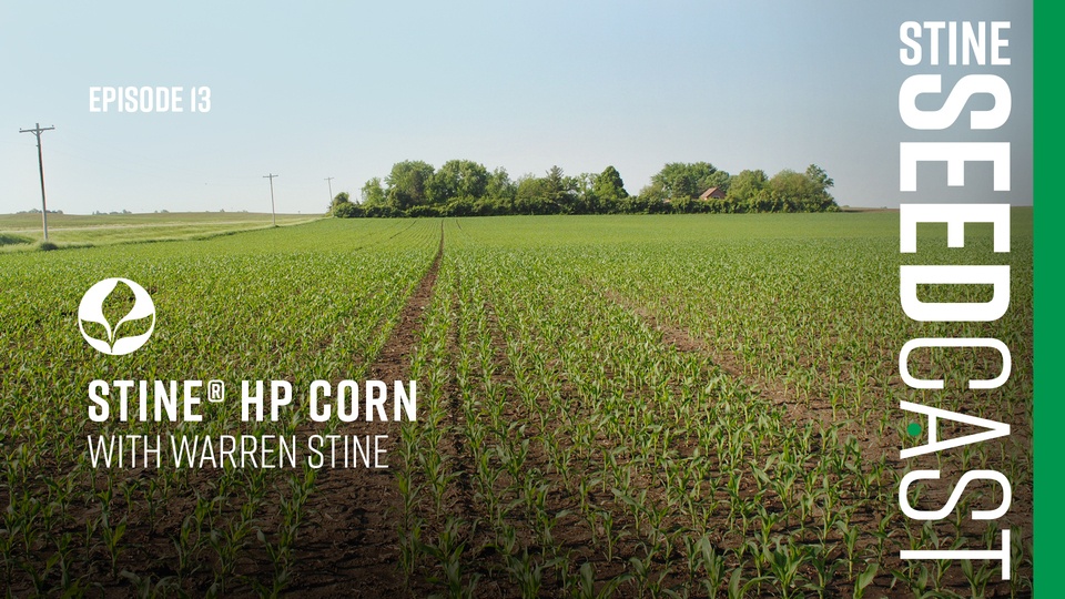 Episode 13: The Story of HP Corn with Warren Stine