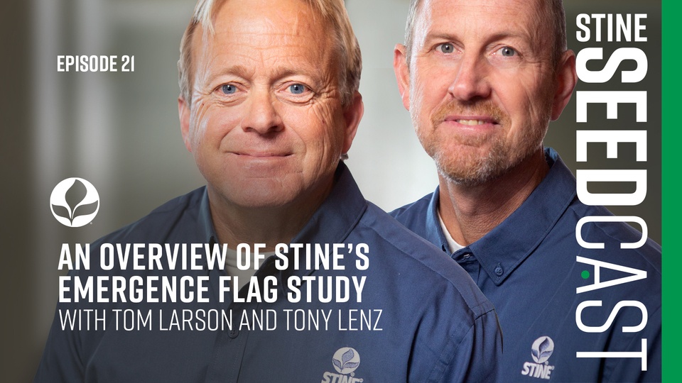 Episode 21: An overview of Stine’s emergence flag study with Tom Larson and Tony Lenz